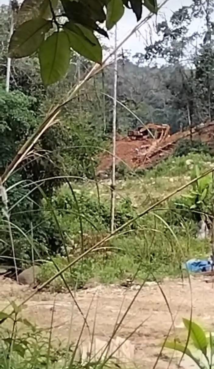 Ada apa dan kenapa: Tambang Emas Ilegal Batang Natal Menantang Hukum, Nama Rahmad "Toke" Mencuat Ke Publik